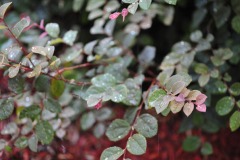 DSC_3895 DSC_3895