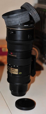DSC_5202-Edit
