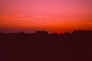 sunfox_20150921_001_OIB_Velvia50