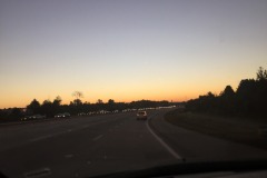 IMG_3555