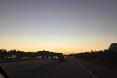 IMG_3558 IMG_3558