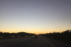 IMG_3559