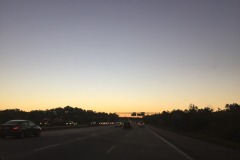 IMG_3560