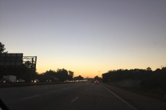 IMG_3565