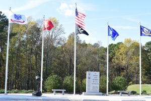 sunfox_20151111_001_Cary_Vets_Park