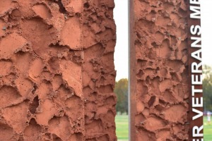 sunfox_20151111_002_Garner_Vets_Park