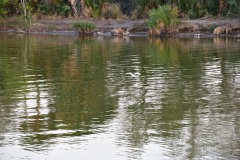 emw_20160229_181742_DAB_0457