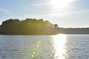 sunfox_20170125_001_Lake_Benson_Park