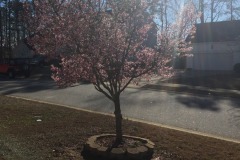 emw_20170216_153423_iPhrenalia_Misc_0015