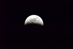 sunfox_20190121_001_eclipse
