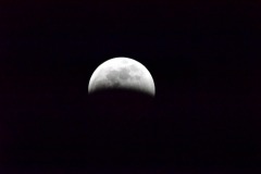 emw_20190121_001148_SuperWolfMoonEclipse_0002 emw_20190121_001148_SuperWolfMoonEclipse_0002