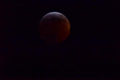 emw_20190121_004912_SuperWolfMoonEclipse_0010 emw_20190121_004912_SuperWolfMoonEclipse_0010