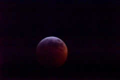 emw_20190121_005108_SuperWolfMoonEclipse_0012 emw_20190121_005108_SuperWolfMoonEclipse_0012