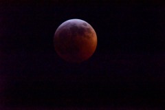 emw_20190121_005138_SuperWolfMoonEclipse_0015 emw_20190121_005138_SuperWolfMoonEclipse_0015