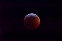 emw_20190121_005143_SuperWolfMoonEclipse_0016 emw_20190121_005143_SuperWolfMoonEclipse_0016