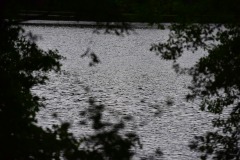 emw_20200506_142923_Yates_Mill_Pond_0021