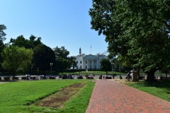 View of the White House from Lafayette Square