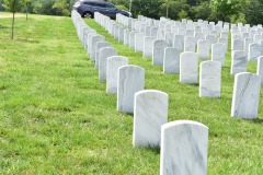Such neat and orderly patterns with a military precision
