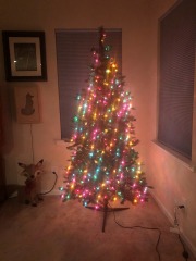 The tree is ready for the ornaments...