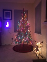 The tree is ready for the ornaments...