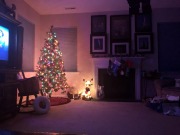 The tree is finally done!