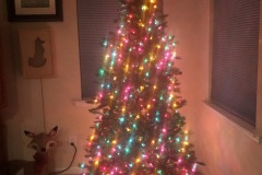 The tree is ready for the ornaments...