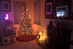 The tree is finally done!
