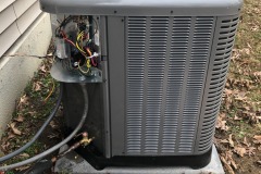 emw_20201230_133337_‬iPhrenalia_0006