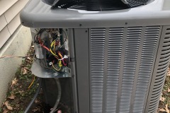 emw_20201230_133405_‬iPhrenalia_0015