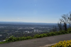 emw_20210401_104340_Walkabout_0036