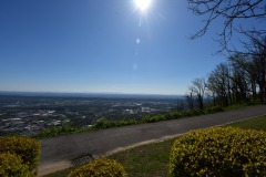 emw_20210401_104342_Walkabout_0037