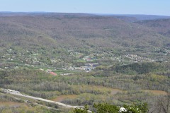 emw_20210401_105221_Walkabout_0106