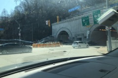 Love tunnels! Love tunnels!