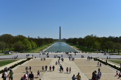 Fairly impressive crowds.... Fairly impressive crowds....