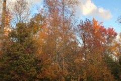 emw_20211118_072033_‬iPhrenalia_0050
