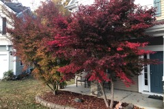 emw_20211118_072102_‬iPhrenalia_0055