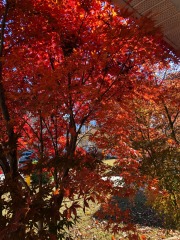 emw_20211123_112748_‬iPhrenalia_0013