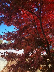 emw_20211123_112754_‬iPhrenalia_0014