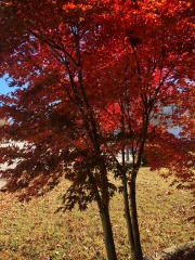 emw_20211123_112804_‬iPhrenalia_0015
