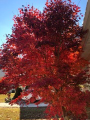 emw_20211123_112813_‬iPhrenalia_0016