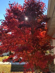 emw_20211123_112821_‬iPhrenalia_0018
