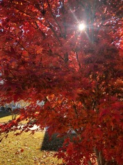 emw_20211123_112832_‬iPhrenalia_0026