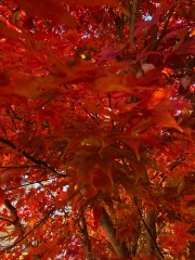 emw_20211123_112857_‬iPhrenalia_0028