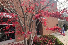 emw_20211209_122448_‬iPhrenalia_0560