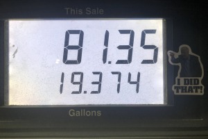 sunfox_20220511_001_petrol