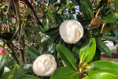emw_20220523_182731_iPhrenalia_0084
