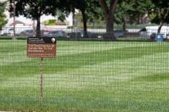 For the OCD amongst us, I'm thinking someone needs spell-checking!  :)