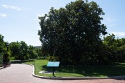 emw_20220812_111923_IAD_0003_NationalMall_0006