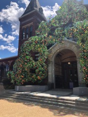 emw_20220812_125821_IAD_0003_NationalMall_0139