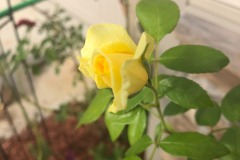 emw_20220818_173316_iPhrenalia_0020